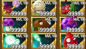 五觉大战在线视频,感官盛宴的视觉奇遇之旅