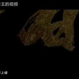 矛三在线视频老王,老王带你领略辩论魅力
