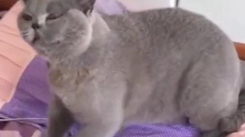 国产剃毛在线视频,时尚潮流下的私密护理新趋势