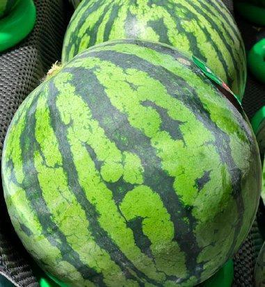 西瓜99在线视频,畅享海量精彩内容，解锁娱乐新境界