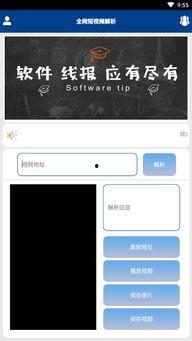 在线视频 下载 解析,高效下载与解析技巧解析