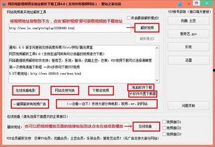 在线视频 下载 解析,高效下载与解析技巧解析