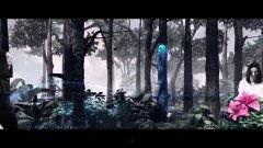 中文蝴蝶在线视频,在线视频捕捉自然之美