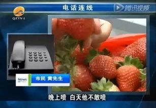 草莓国内在线视频,甜蜜瞬间，尽享视觉盛宴