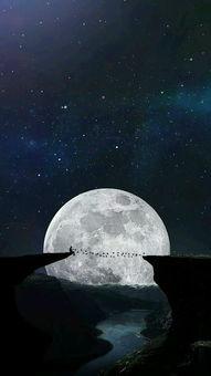 孤行月球在线视频