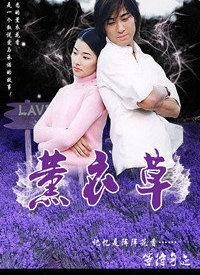 薰衣草在线视频高清BD,高清BD版浪漫再现