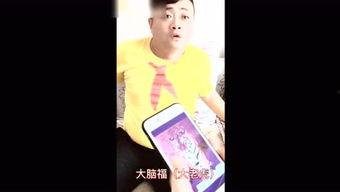 阿呆和兰兰在线视频,网络视频中的欢乐时光