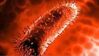 生物原虫在线视频,在线视频揭秘寄生虫奥秘