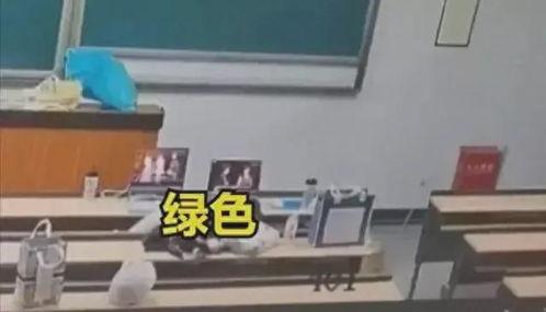 十七教室门 在线视频,揭秘神秘在线视频背后的故事