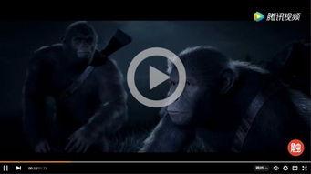 最后的边疆在线视频播放,在线视频带你领略祖国壮美河山