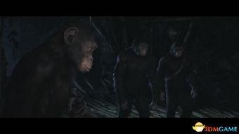 最后的边疆在线视频播放,在线视频带你领略祖国壮美河山