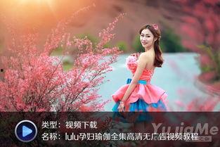 孕妇系列在线视频无码,从孕育到分娩的温馨历程