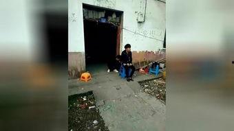 爆屁眼在线视频,揭秘爆屁眼在线视频的欢乐盛宴