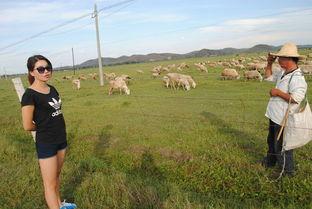 清清草原上在线视频,探寻自然之美与民族风情