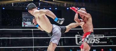 面骑乘在线视频,揭秘刺激的极限运动体验