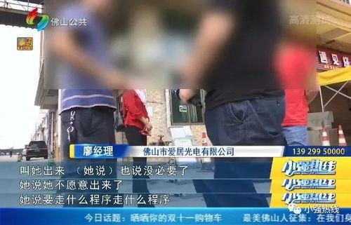佛山在线视频,探寻佛山历史文化与现代魅力  第3张