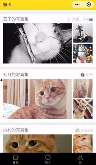 猫社区官网在线视频  第2张