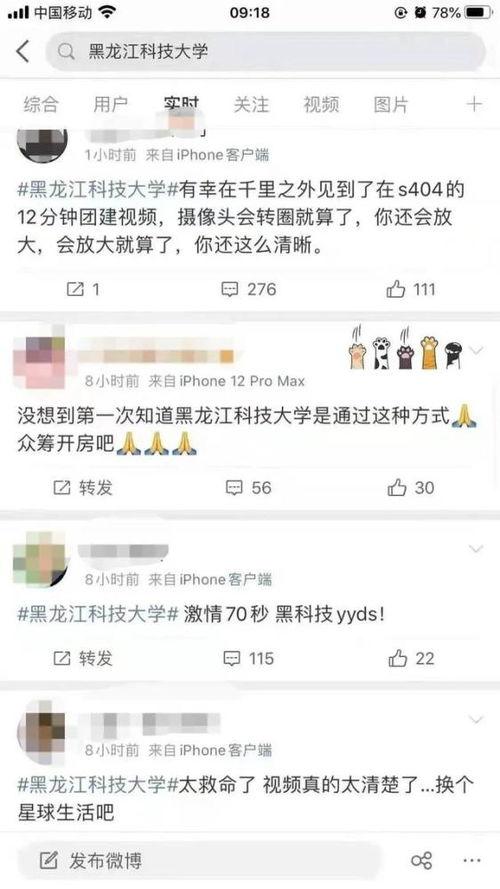 黑爱网盘在线视频  第2张